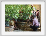 d. Lifting the pot