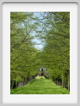 Alley_pan.tif