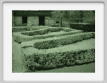 Garden_z.tif