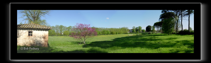 Aureli-field.tif