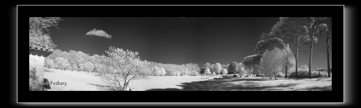 Aureli-field_780.tif
