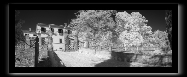 Aureli-front2_780.tif