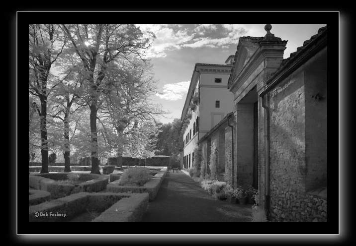 Aureli-front_780.tif
