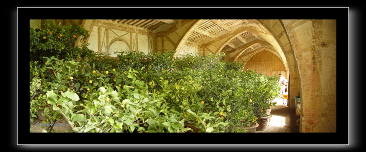 Aureli-Orangery.tif